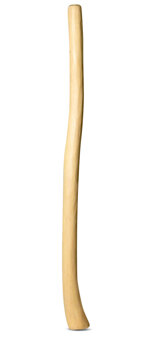 Medium Size Natural Finish Didgeridoo (TW832)